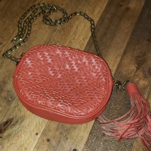 Cute little Anthro purse